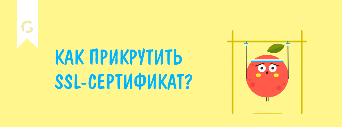 SSL-digital-blog